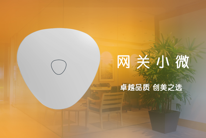 小微网关