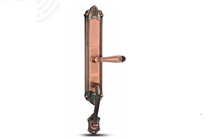 ZC-3030-1智能指纹门锁（欧式）