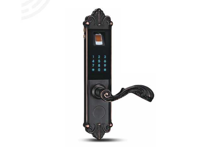 ZC-010智能指纹门锁（欧式）